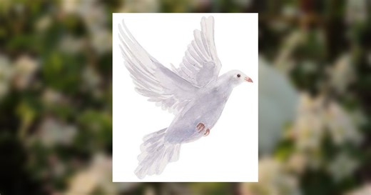 Connie Martin Obituary January 15, 2026 - Thomas Poteet & Son Funeral Directors