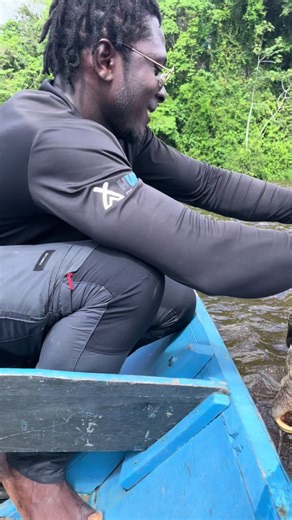 Sloth Swimming Rescue: A Surprising Display of Strength