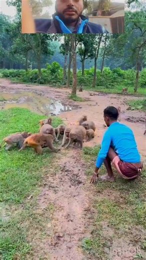 Sanjay Vishwakarma on Instagram: "#viral monkey man ♂️ @"