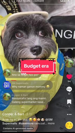 Teymkyu po @SM Supermalls for the comment. Soon makakabili din ng raincoat🐶😅 #diy #outfitcheck #dogsofttiktok #shihtzusoftiktok #goodvibesonly
