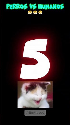 Perros VS Humanos 😬😬😬 #perros
