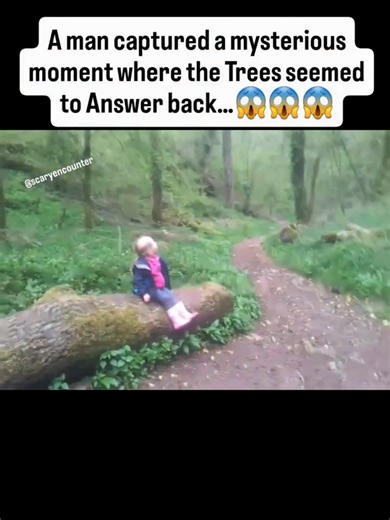 Mysterious Trees Respond in Chilling Footage