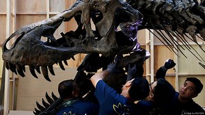 Why did the dinosaurs grow so big?