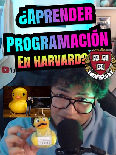 Aprender programación en Harvard: ¿vale la pena CS50?