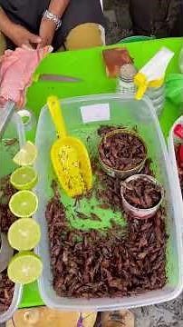 Eating Crickets in Mexico
