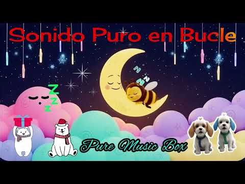 Pure Music Box 🌙 musica para dormir bebés | infinite loop lullaby