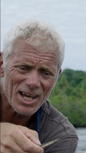 Catching A Needle Fish With Needle Sharp Teeth | River Monsters | Animal Planet