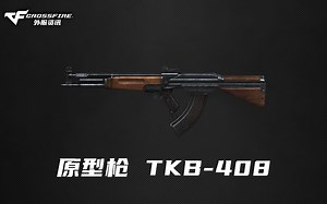 CF外服|🇧🇷 GP原型枪 TKB-408