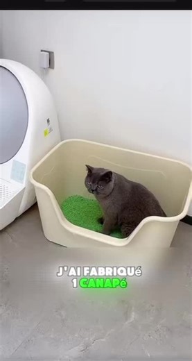 DIY : Fabriquez un canapé litière pour chat