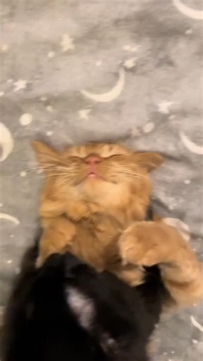 Peace on Instagram: "Mention that'.... #reelinstagram #reels #reelitfeelit #viralreels #viral #trendingreels #explore #explorepage #foryoupage #aesthetic #peace"