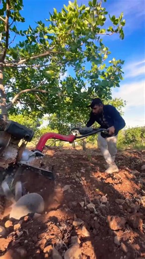 gardening in the village