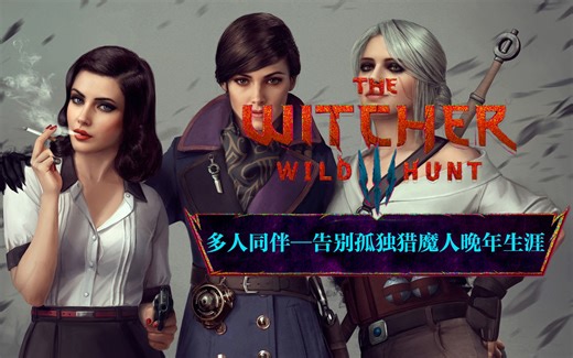 多人伴侣安装+使用教程，通关之后不做空巢猎魔人