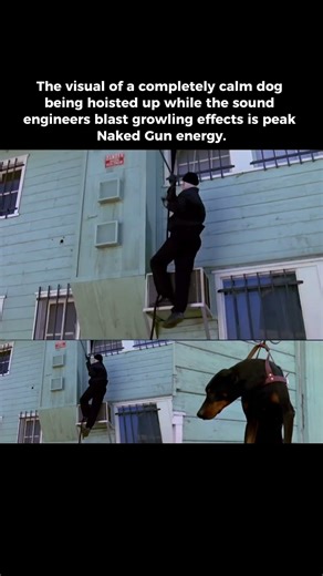 It was his Stomach 😅