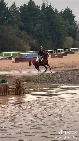 Full XC Combinations with Mini Stallion