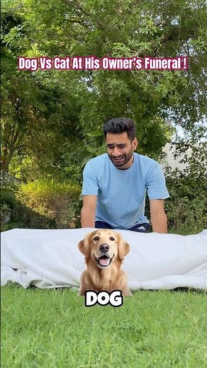 Dog Vs Cat at his owner’s funeral😭😈 #trending #shorts