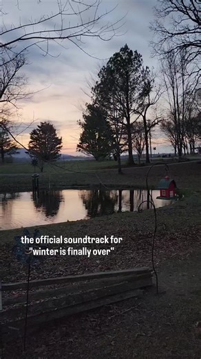 spring peepers 😊 #simpleliving #countryliving #easttennessee #tennessee