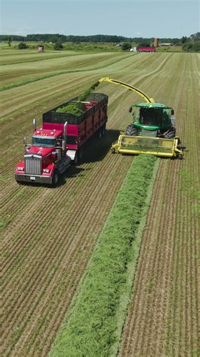 Alfalfa Harvest In Lake City, MI