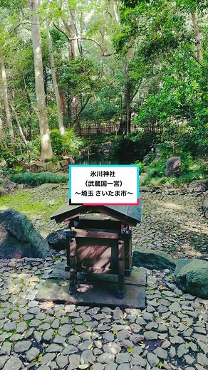 🐉全国パワスポ遠隔参拝⛩️毎朝、生配信しています✨何とぞフォローをお願いします🙏#遠隔参拝 #神社巡り #パワースポット #氷川神社