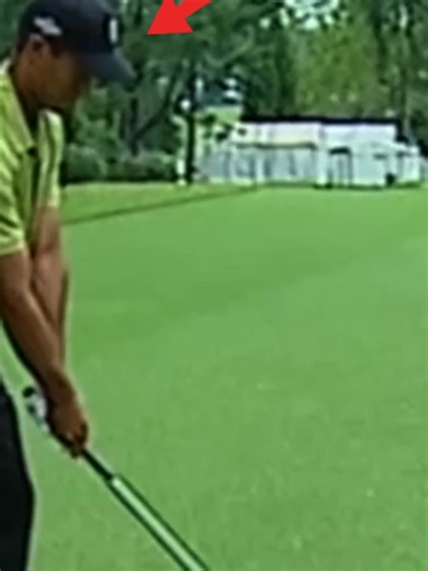 Tiger Woods at the 2007 TOUR Championship highlights