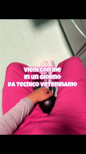 A Day in the Life of a Veterinary Technician