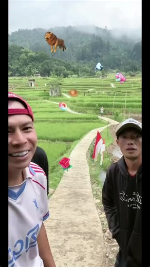 Live Streaming Arlo: Terima Kasih atas Dukungan Anda!