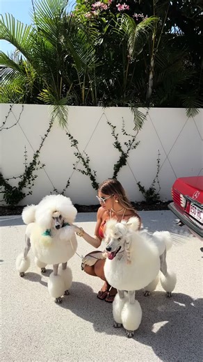 Iconic Swimwear Photoshoots Behind the Scenes