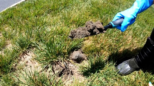 'Generational poisoning': America's fastest-growing suburb at center of heated coal ash debate