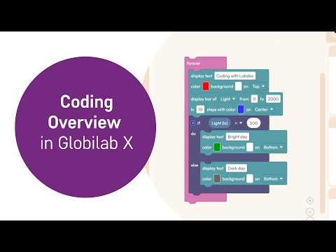 Coding in Globilab X - Overview