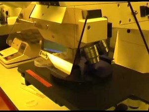 Optical Microscope