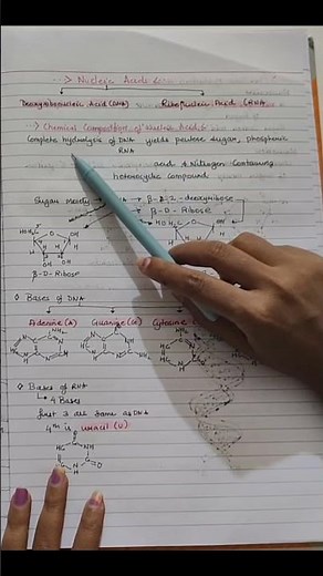Nucleic acid / Biomolecules class 12 chemistry handwritten notes