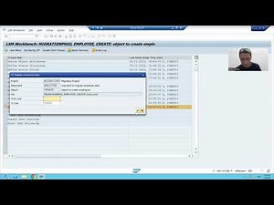29 - Cross Applications - Data Migration Using Business Object Method of LSMW Part5