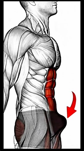 Transform Your Pelvic Health: The Ultimate Kegel Workout 🔥#shorts