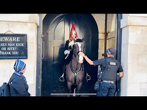 King’s Guard Pulls The Horse Away From Karen