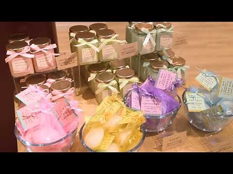 【大創産業(DAISO)】会社案内_Japan_202502