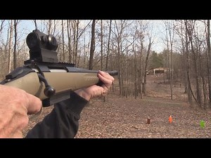 Ruger American 450 Bushmaster Range 2