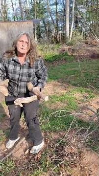 Yard work and brush clearing #diy #chores #youtubeshorts #shortvideo