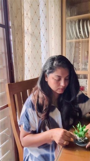 DIY snake plant #diy