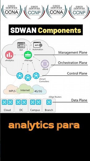 Componentes esenciales de SD-WAN y su arquitectura explicada #sdwan #ccna #cisco
