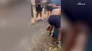 Video captures fight between school girls