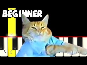 Keyboard Cat - Fast and Slow (Easy) Piano Tutorial - Beginner