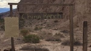 Secrets of the Desert, Part 3: China Ranch Date Farm
