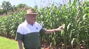 3.9K views · 93 reactions | More insights on Pfumvudza / Intwasa | Mudhumeni Mukuru | Facebook