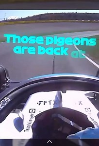 Agent George | F1 Lead