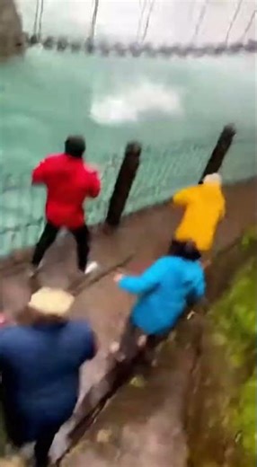 😱 Baboon Escapes on Vine as Leopard Misses Jump and Falls Into Waterfall