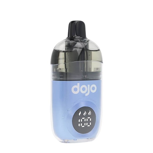 Dojo Blast 40 K Love66 Puff by Vaporesso - Exotic fruits and red fruits - A&L