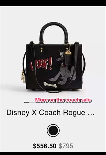 Exclusive Insights on Coach Sale Events