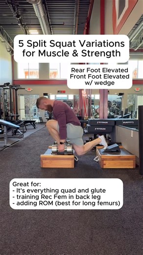 Austin Current - Online Personal Trainer on Instagram: "5 of my favorite Split Squat Variations: Learn What You Need to Know About Using Each Variation in Your Sessions. → comment “anatomy48” to grab my free 48-page Foundations of Anatomy guide — it covers the “need” to know for each major muscle group and which exercises I like to train them. Have a training question? Ask it below, and I’ll answer it with a Reel. 🤘🏻 Chat soon, Coach Austin #strengthtraining #splitsquats #fullbodyworkouts #leg