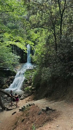 Hidden Waterfall in Cyprus, A Must Visit Nature Spot 🌿 #Shorts #Cyprus