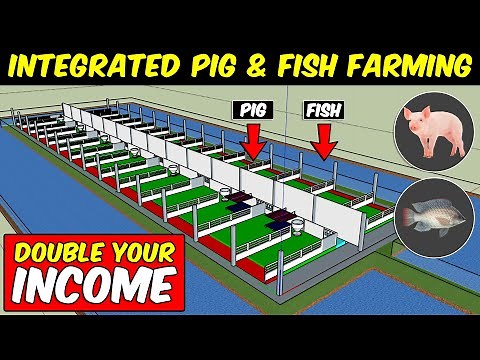 Integrated PIG and FISH Farming | Integrated Farming System Model