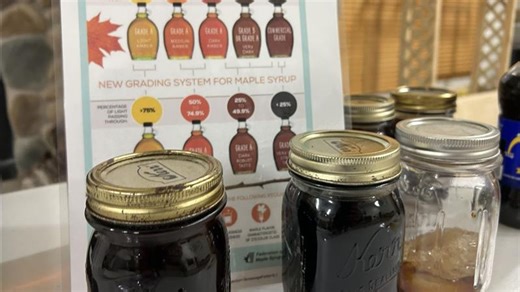 Pancakes and tree taps: Brillion Nature Center hosts Maple Syrup Camp